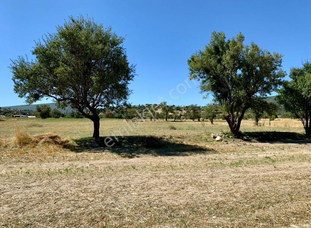 Satılık Tarla