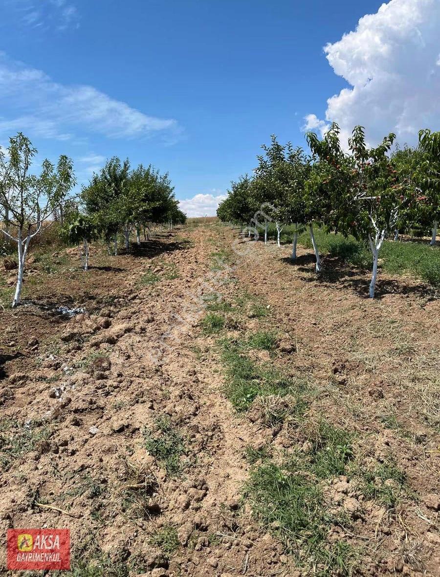 Aksa Emlak'dan Satılık 14,350 Mt Dönüm Tarla - Görsel 8