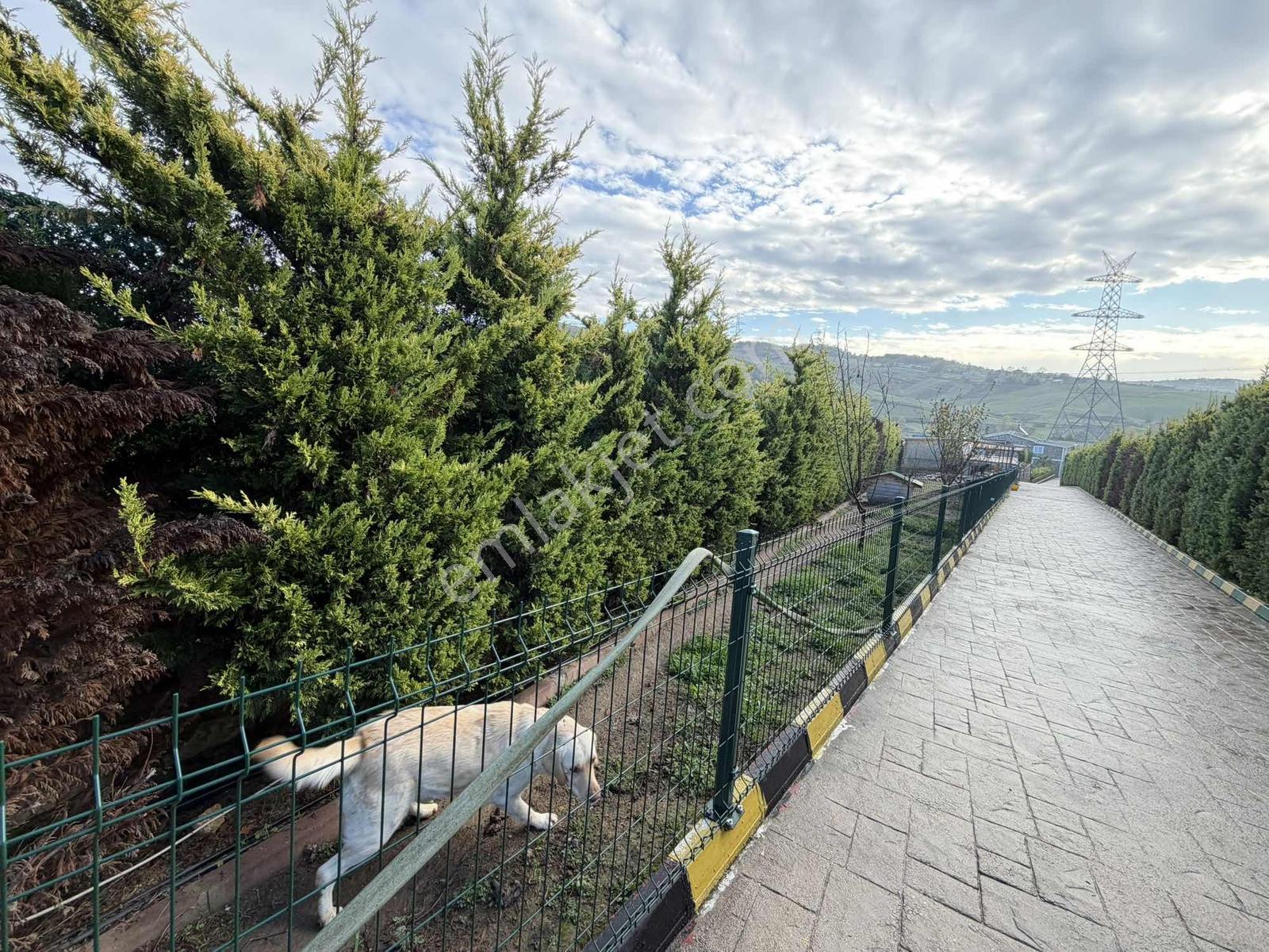 Derince Karagöllü'de 8+2 Özel Yaşam - Muhteşem Arazi - Görsel 13