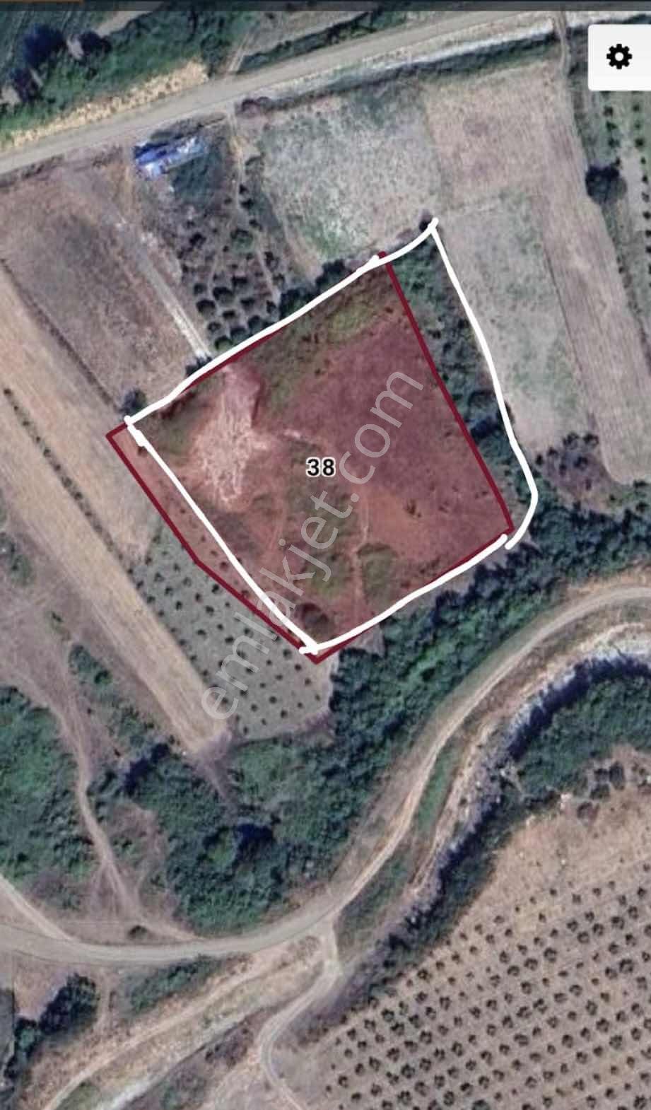 Mustafakemalpaşa Karaoğlan'da Yatırımlık 5600m² Tarla