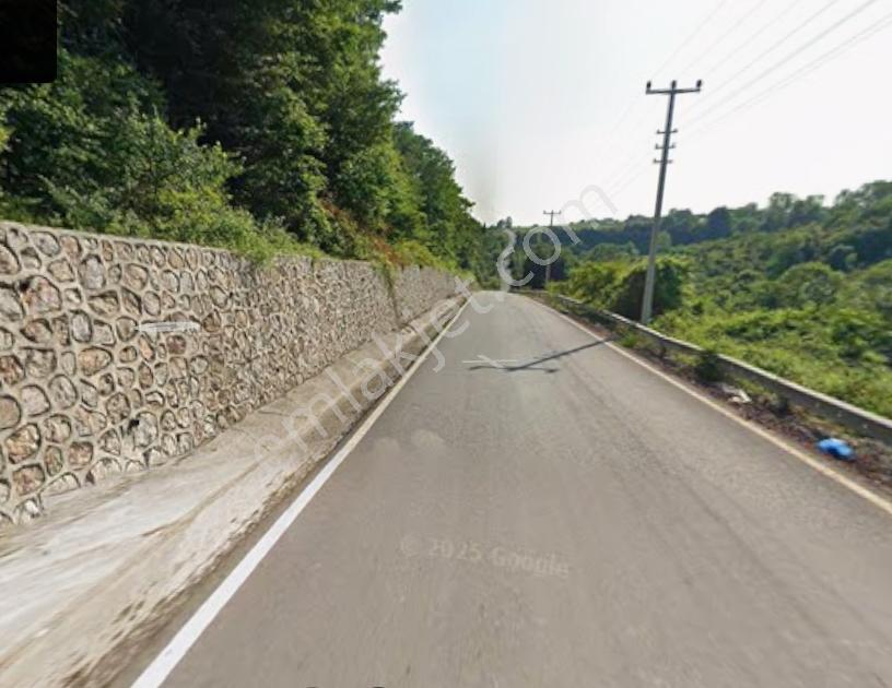 Tarcanlardan İzmit Gediklide İmar Sınırında Yatırımlık Tarla - Görsel 4