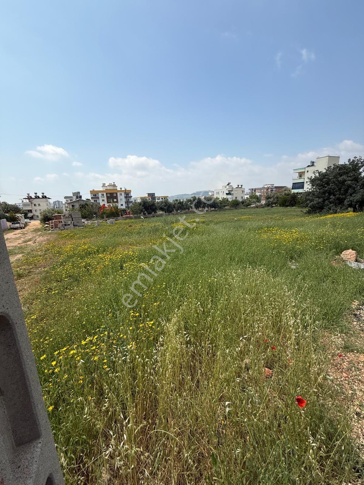 Satılık 685m 9 Dairelik Arsa Silifke/sayağzı Mahallesi - Görsel 5