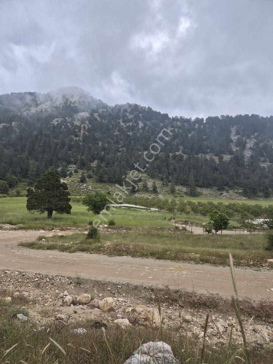 Yaylada Satılık Çok Amaçlı Arazi - Görsel 2