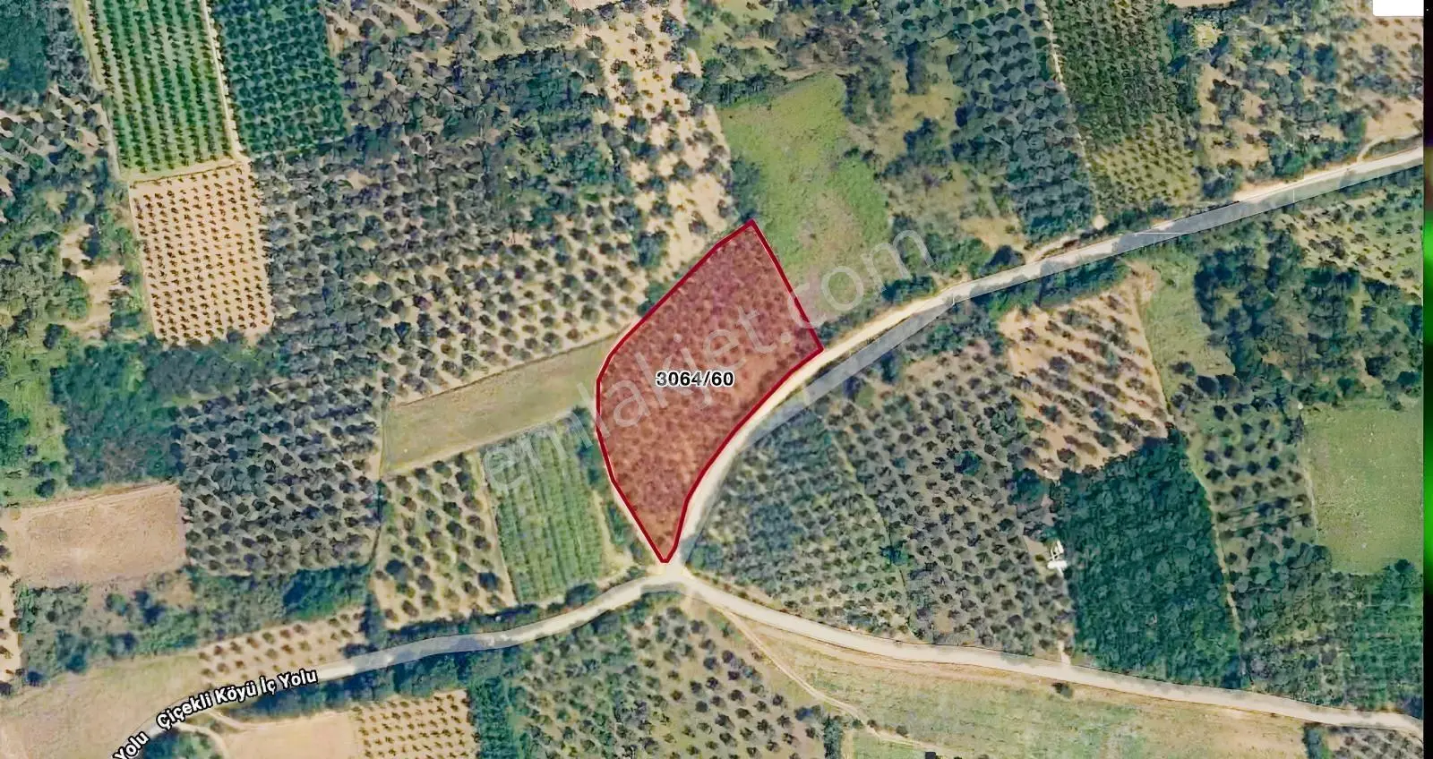 İznik Çiçekli Köyü Yola 95m Cepheli 4300m² Yatırımlık Zeytinlik