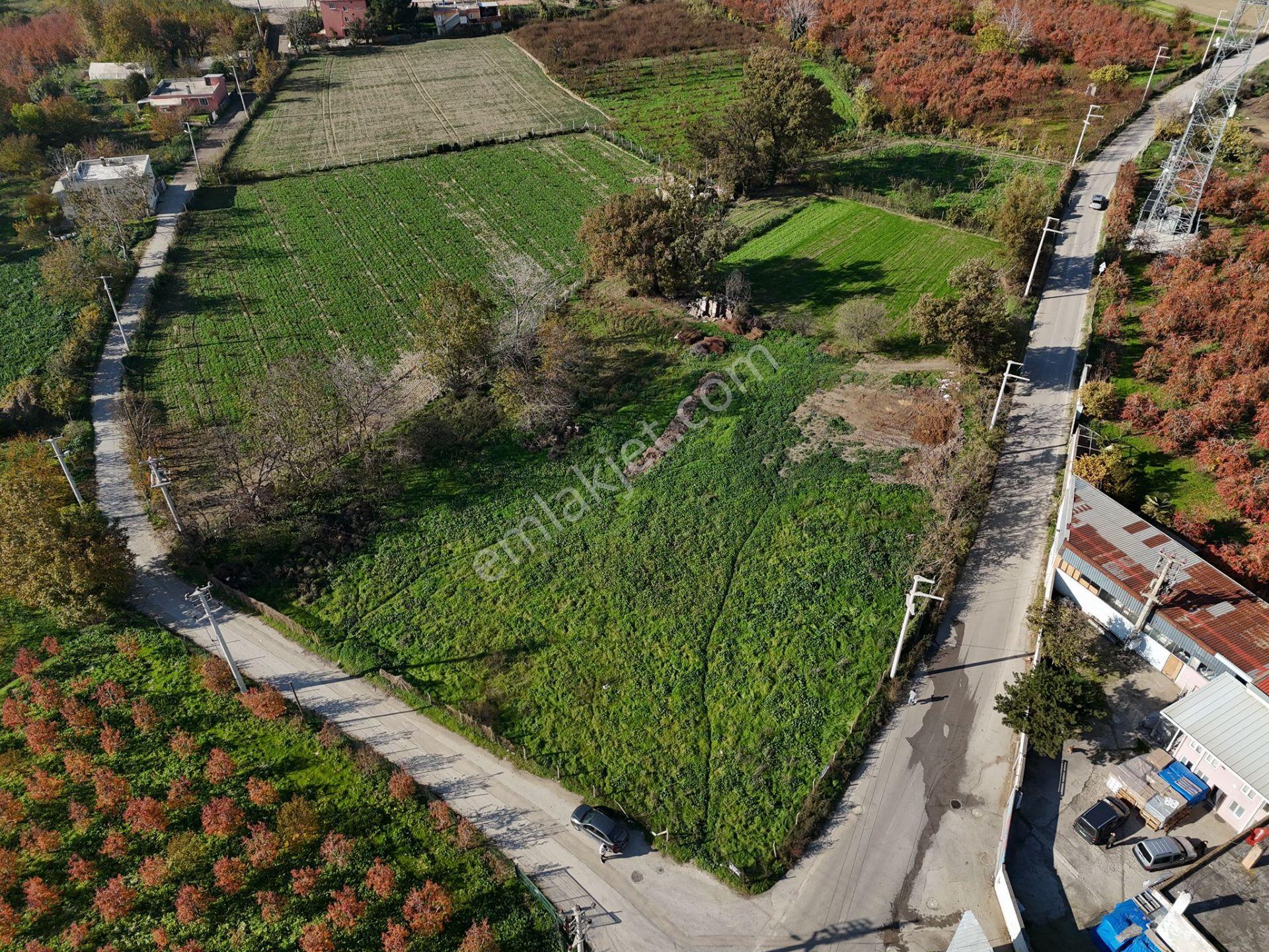 Yıldırım İsabey'de Satılık Köşe Parsel Arsa - 3540 M² - Görsel 5