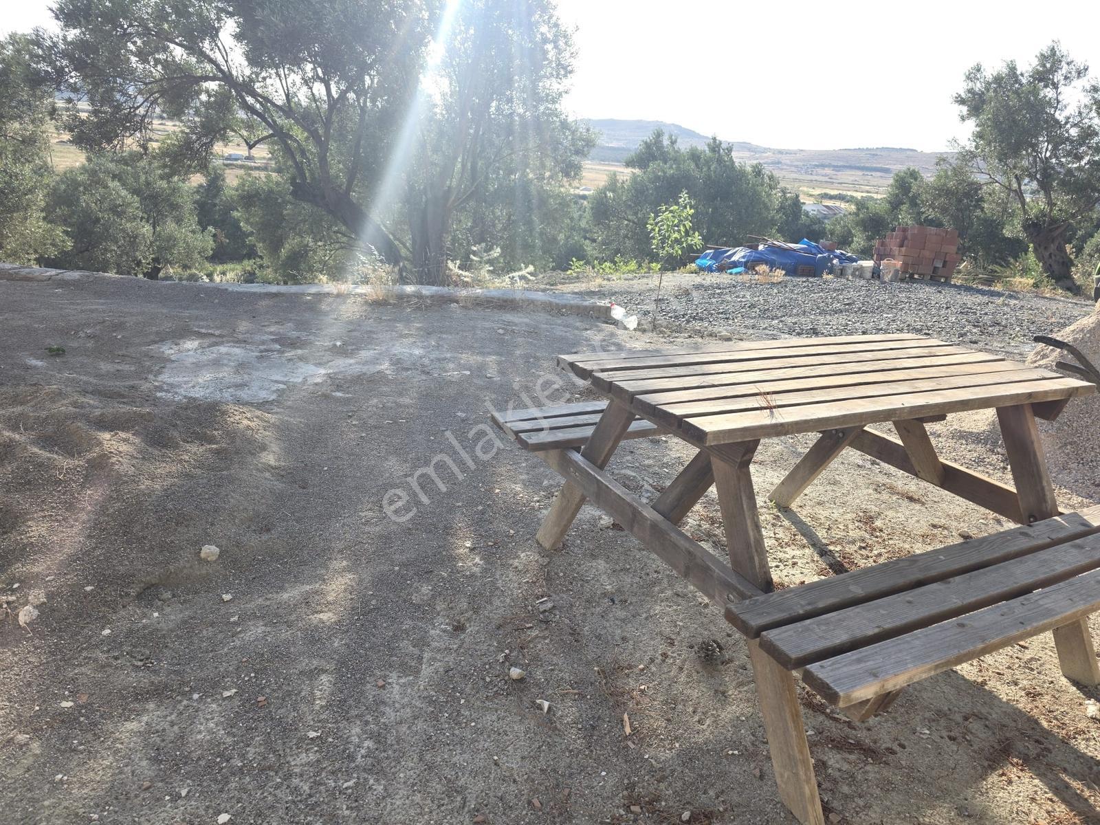 Küçükköy'de Manzaralı,bakımlı Zeytinlik Ve Tadilatlı Müstakil Ev - Görsel 22