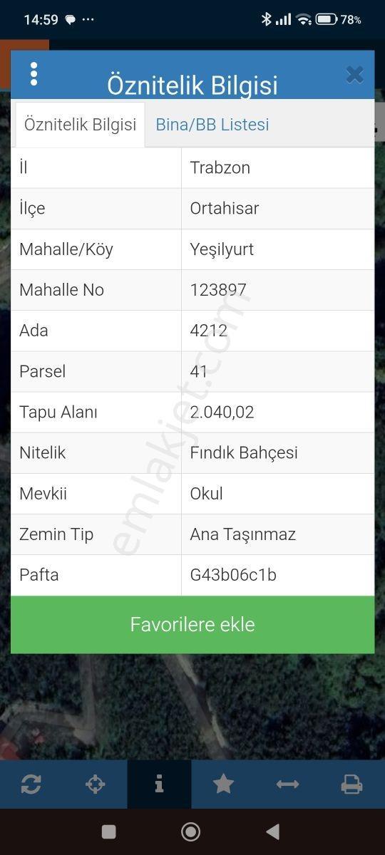 Ortahisar Da Yatırımlık Fındık Tarlası - Görsel 2