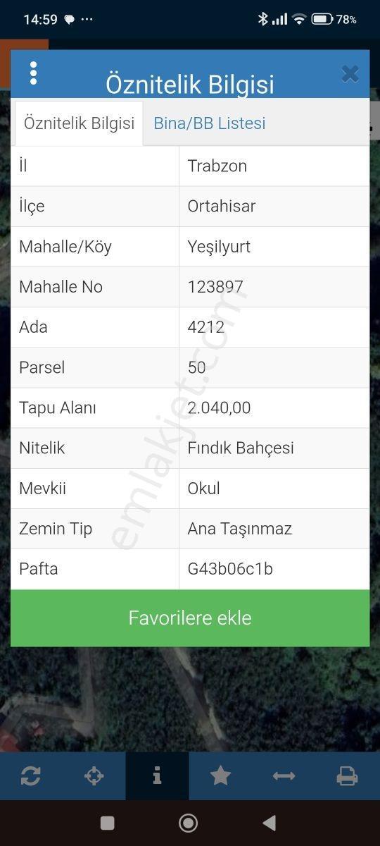 Ortahisar Da Yatırımlık Fındık Tarlası - Görsel 3