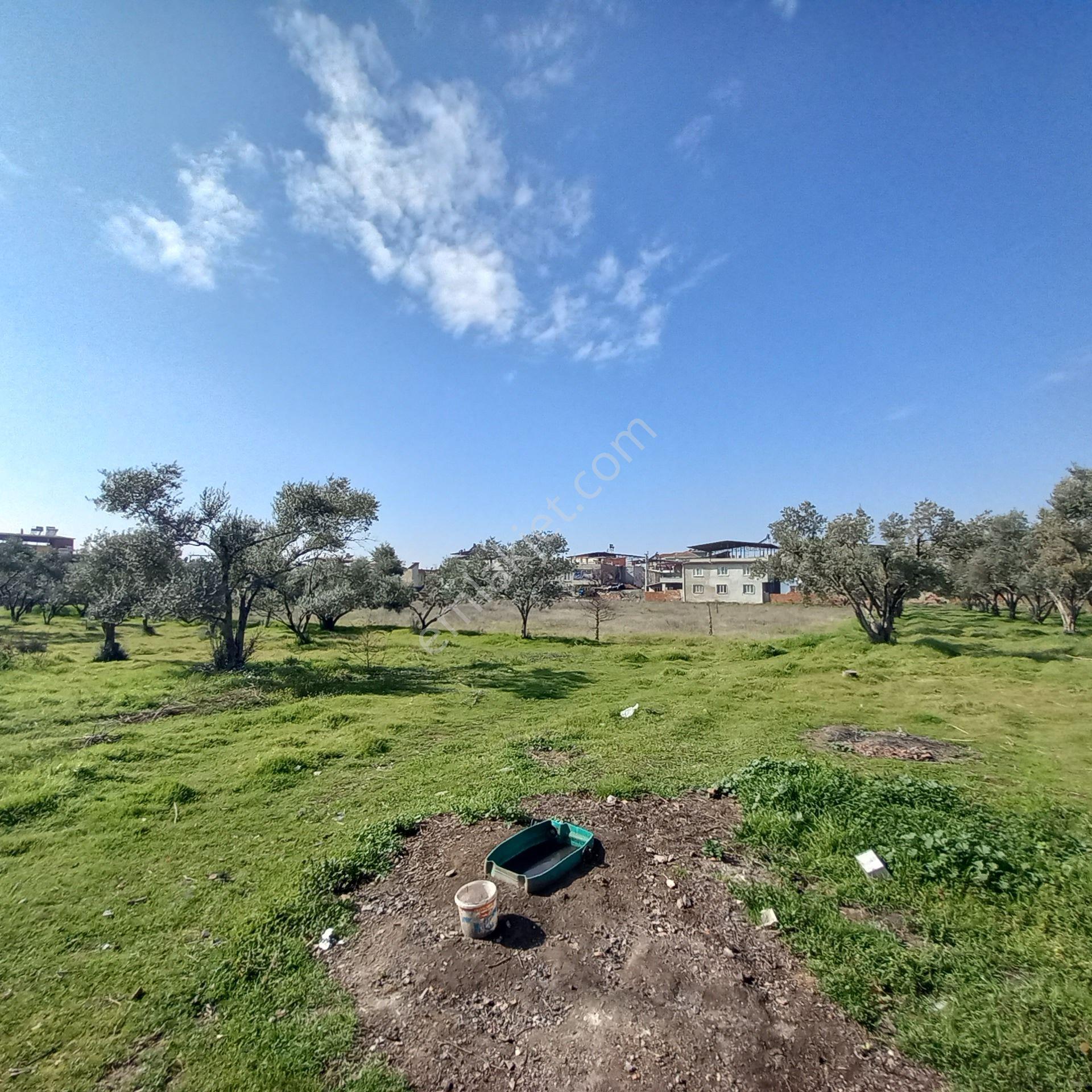 Dönertaş Emlak Nazilli Satılık 12.800 M² Bahçe - Görsel 15