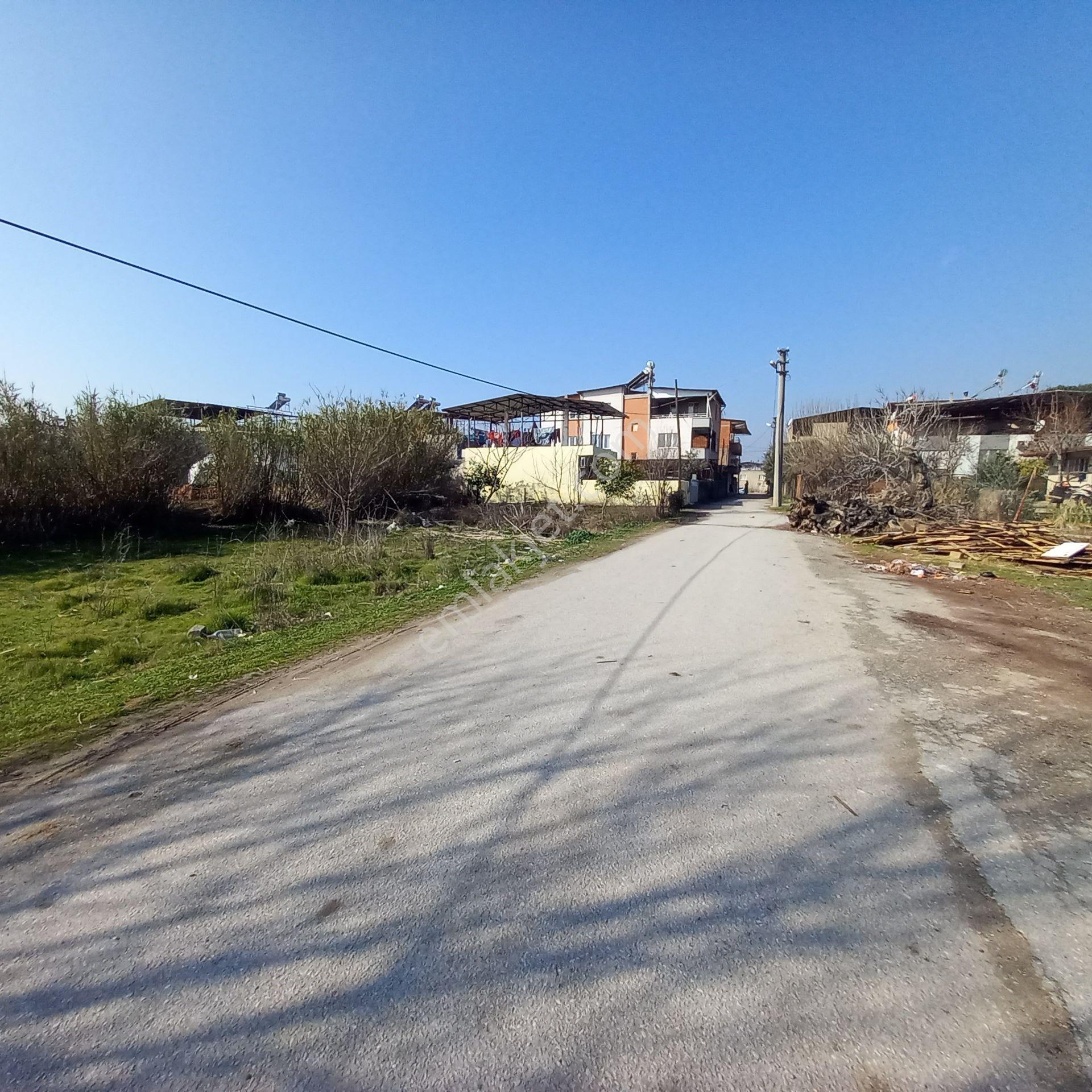Dönertaş Emlak Nazilli Satılık 12.800 M² Bahçe - Görsel 25
