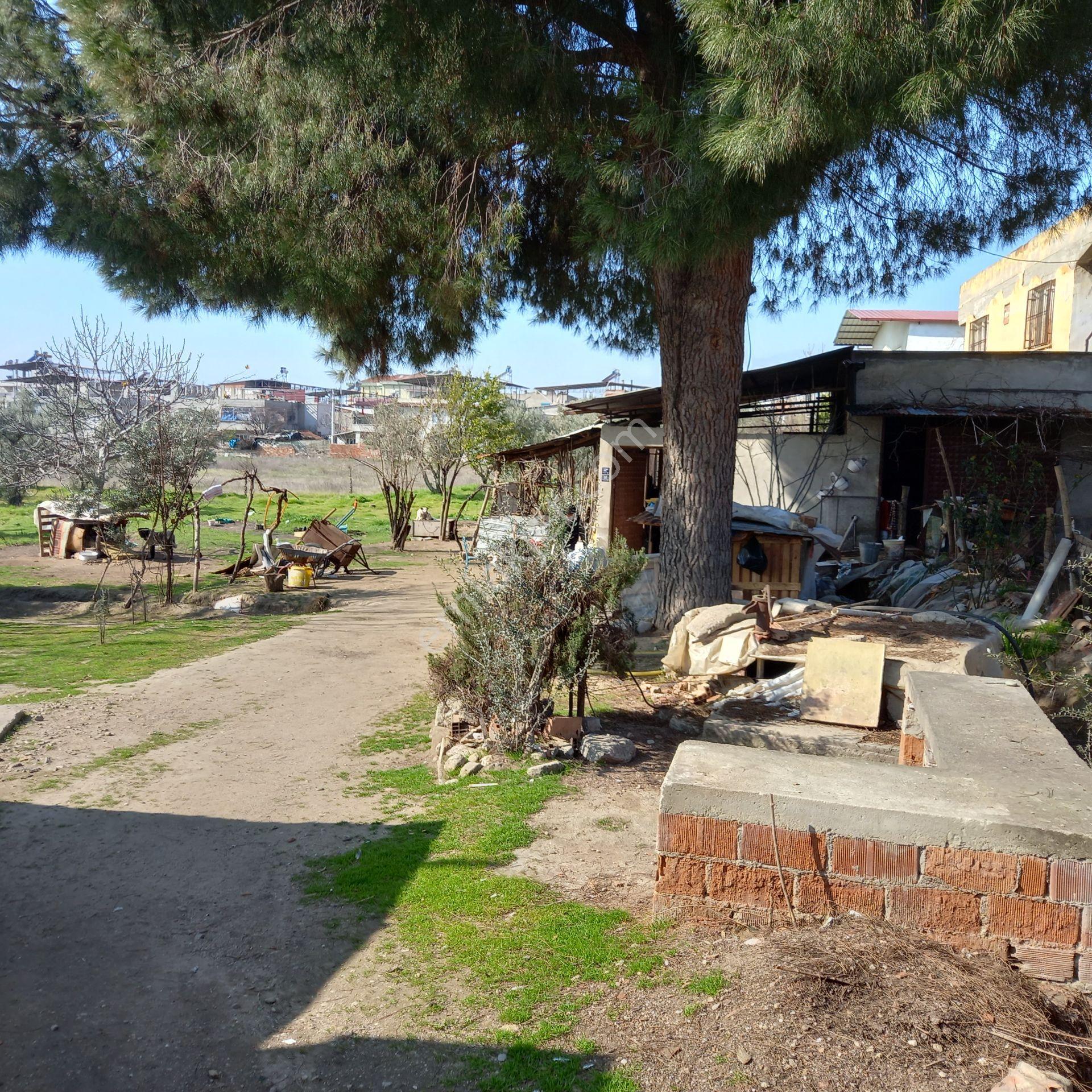 Dönertaş Emlak Nazilli Satılık 12.800 M² Bahçe - Görsel 10