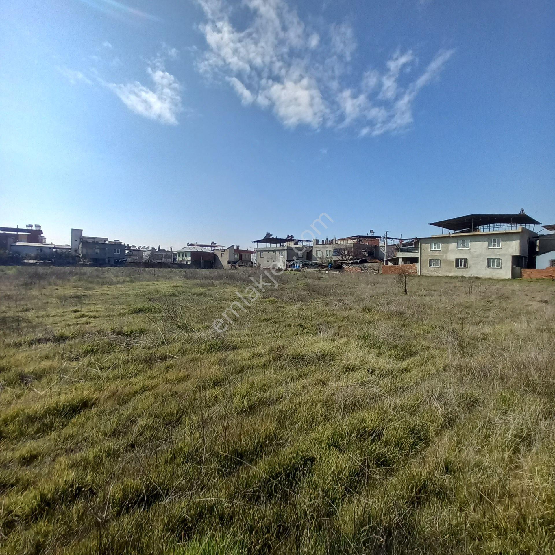 Dönertaş Emlak Nazilli Satılık 12.800 M² Bahçe - Görsel 21