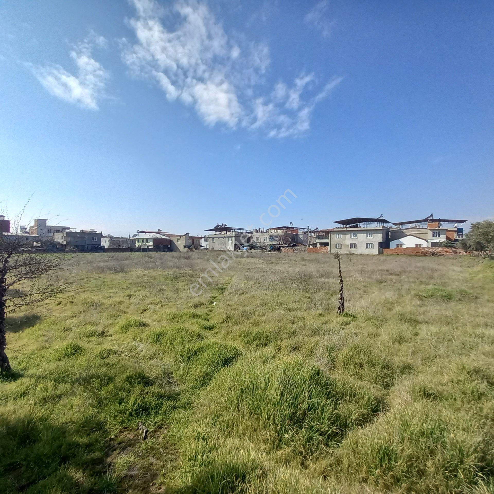 Dönertaş Emlak Nazilli Satılık 12.800 M² Bahçe - Görsel 18