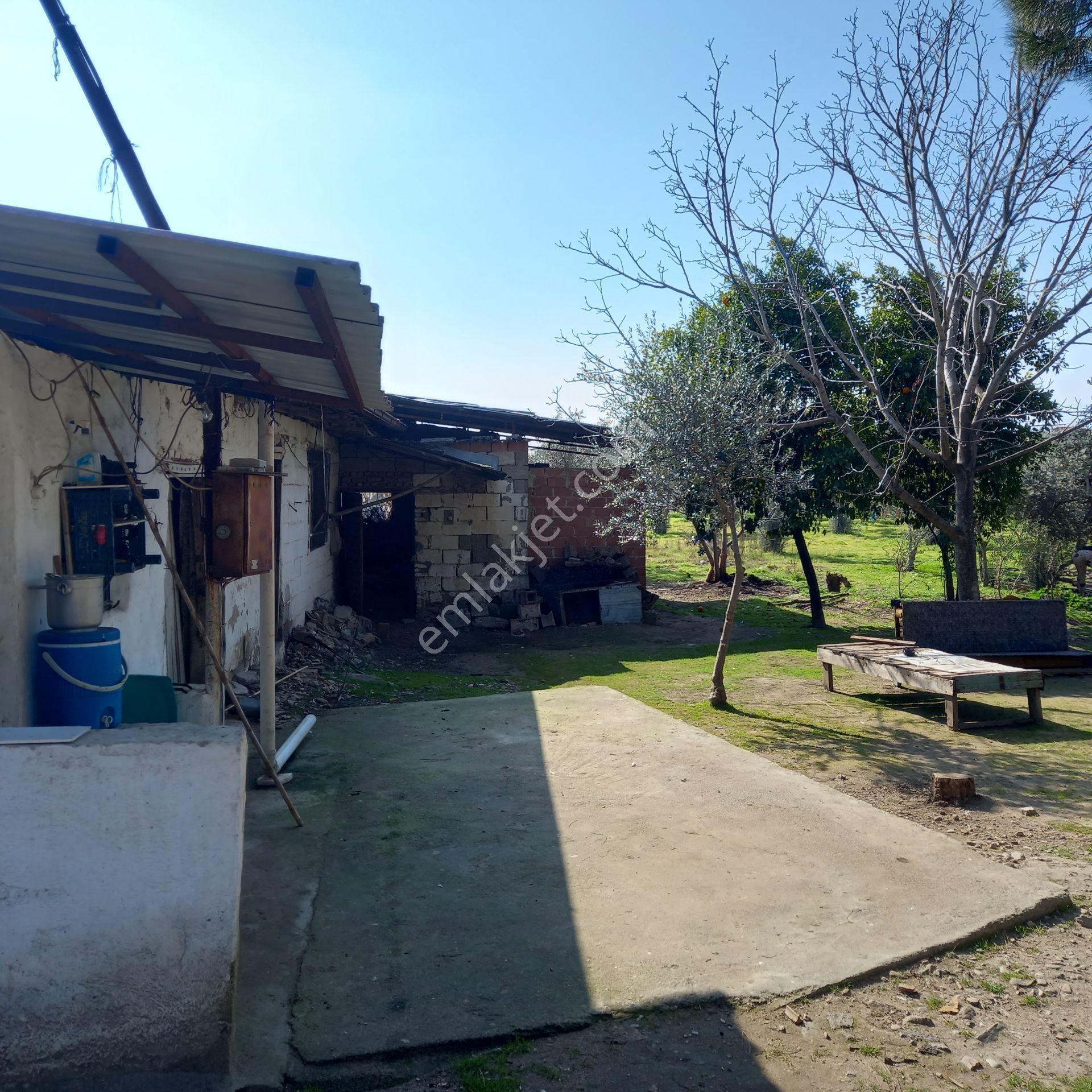 Dönertaş Emlak Nazilli Satılık 12.800 M² Bahçe - Görsel 11