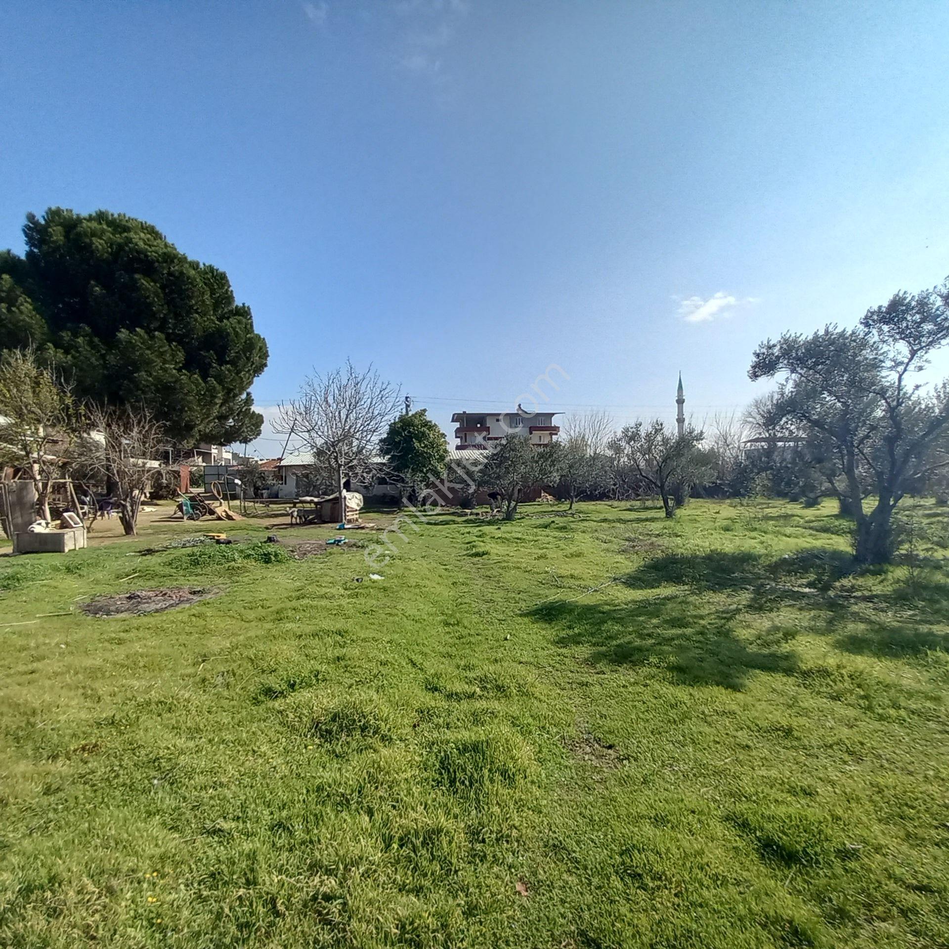 Dönertaş Emlak Nazilli Satılık 12.800 M² Bahçe - Görsel 16