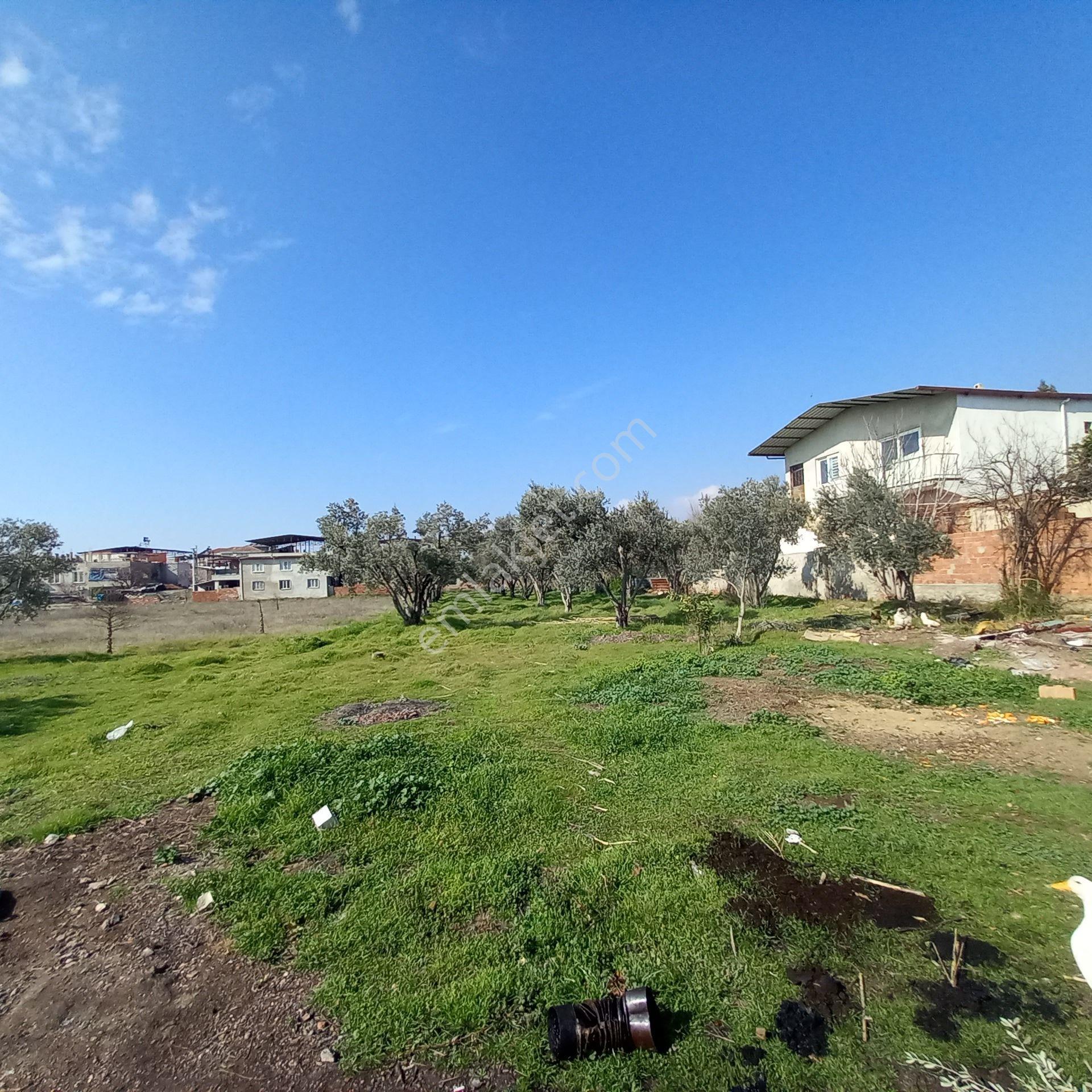 Dönertaş Emlak Nazilli Satılık 12.800 M² Bahçe - Görsel 14