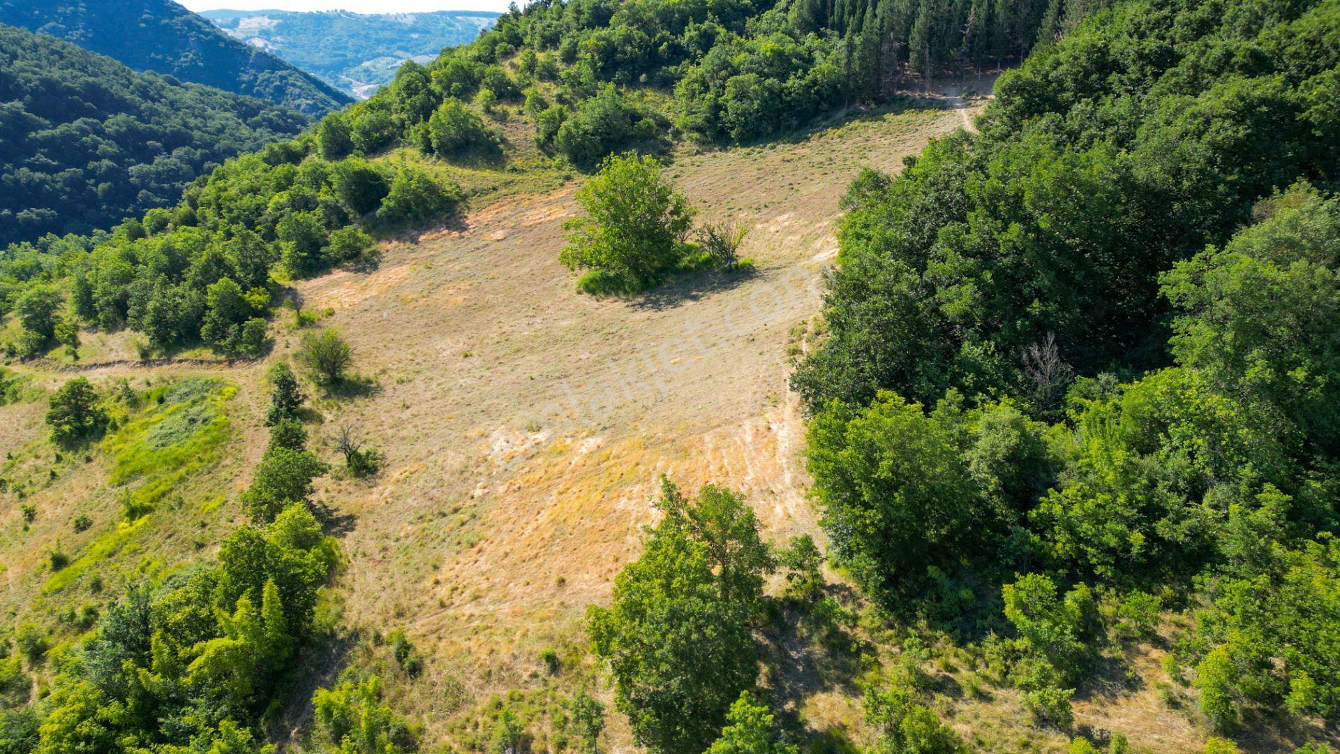 Kocaeli Karamürsel İnebeyli 17.512 M2 Satılık Tarla - Görsel 10