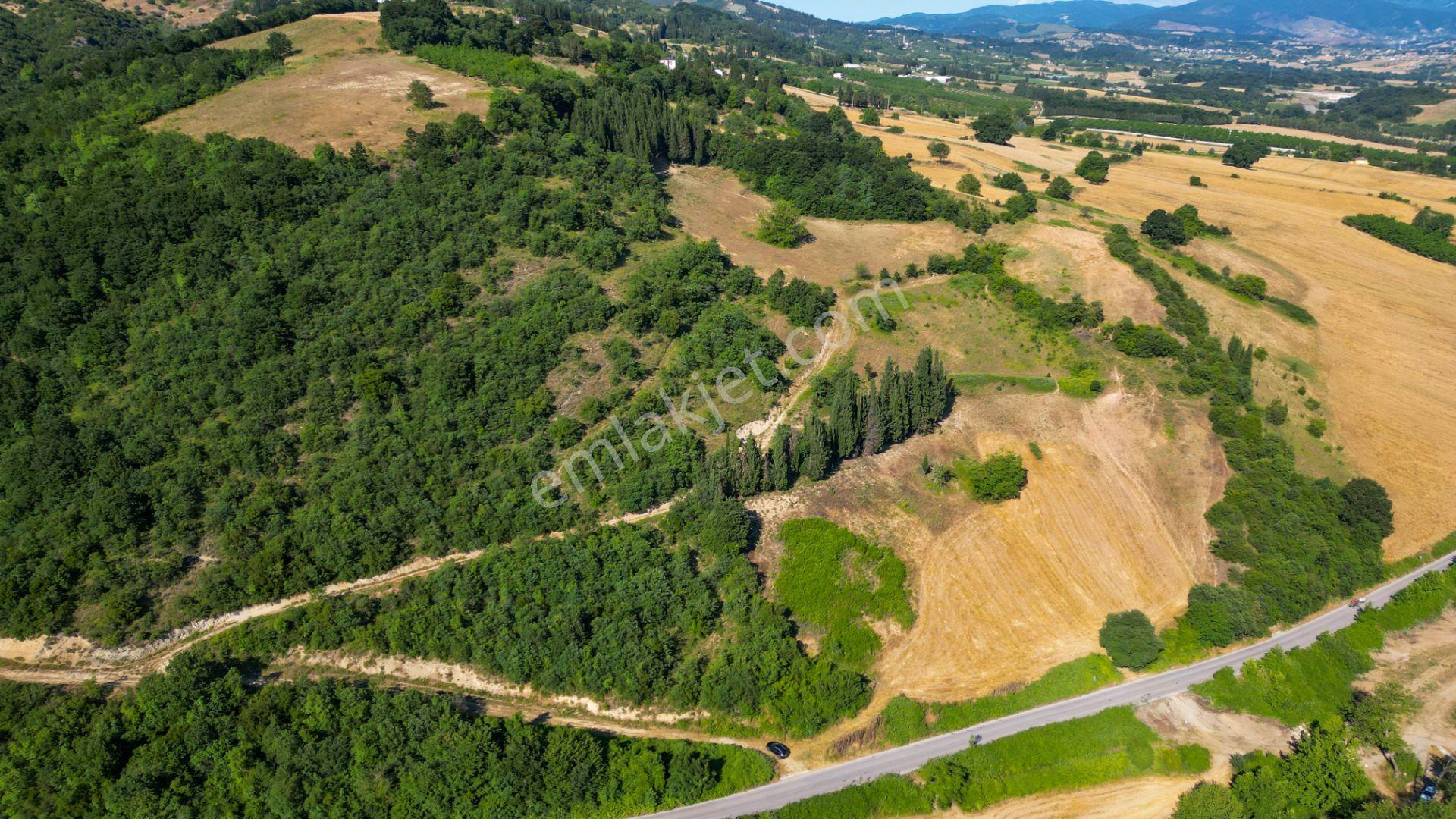 Kocaeli Karamürsel İnebeyli 17.512 M2 Satılık Tarla - Görsel 17