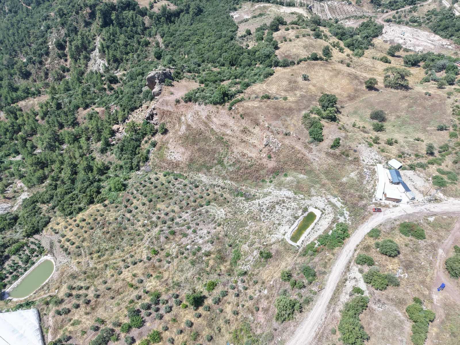 Bmk'dan Satılık Müstakil Tarla / Kumluca Güzören / Tek Tapu - Görsel 24