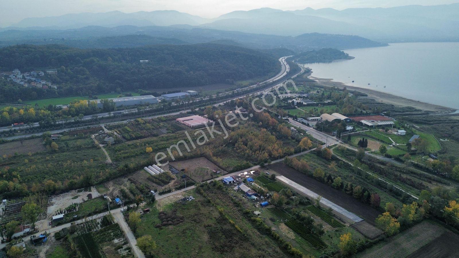 Remax Desıgn Arifiyede Göle Yakın Satılık Tarla - Görsel 2