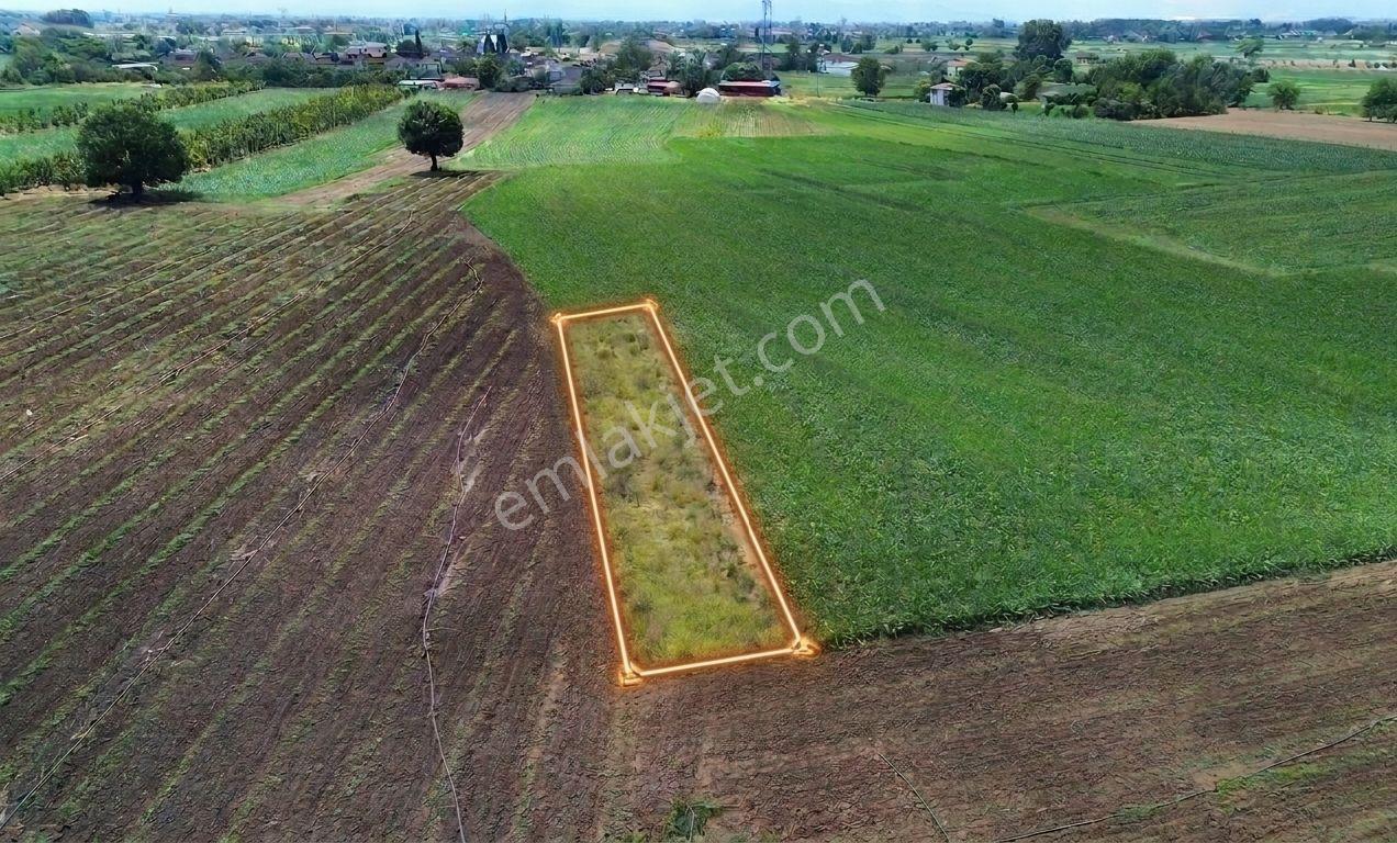 Remax Desıgn Adapazarı Çelebilerde Satılık Tarla/hobi Bahçesi