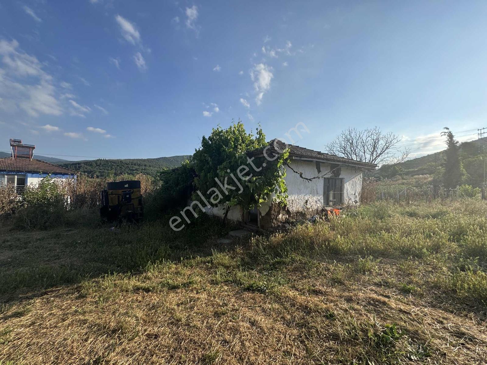 Bursadabul'dan Paşalar Mahallesi Köy Evi Ve Arsası 551.m2 - Görsel 6
