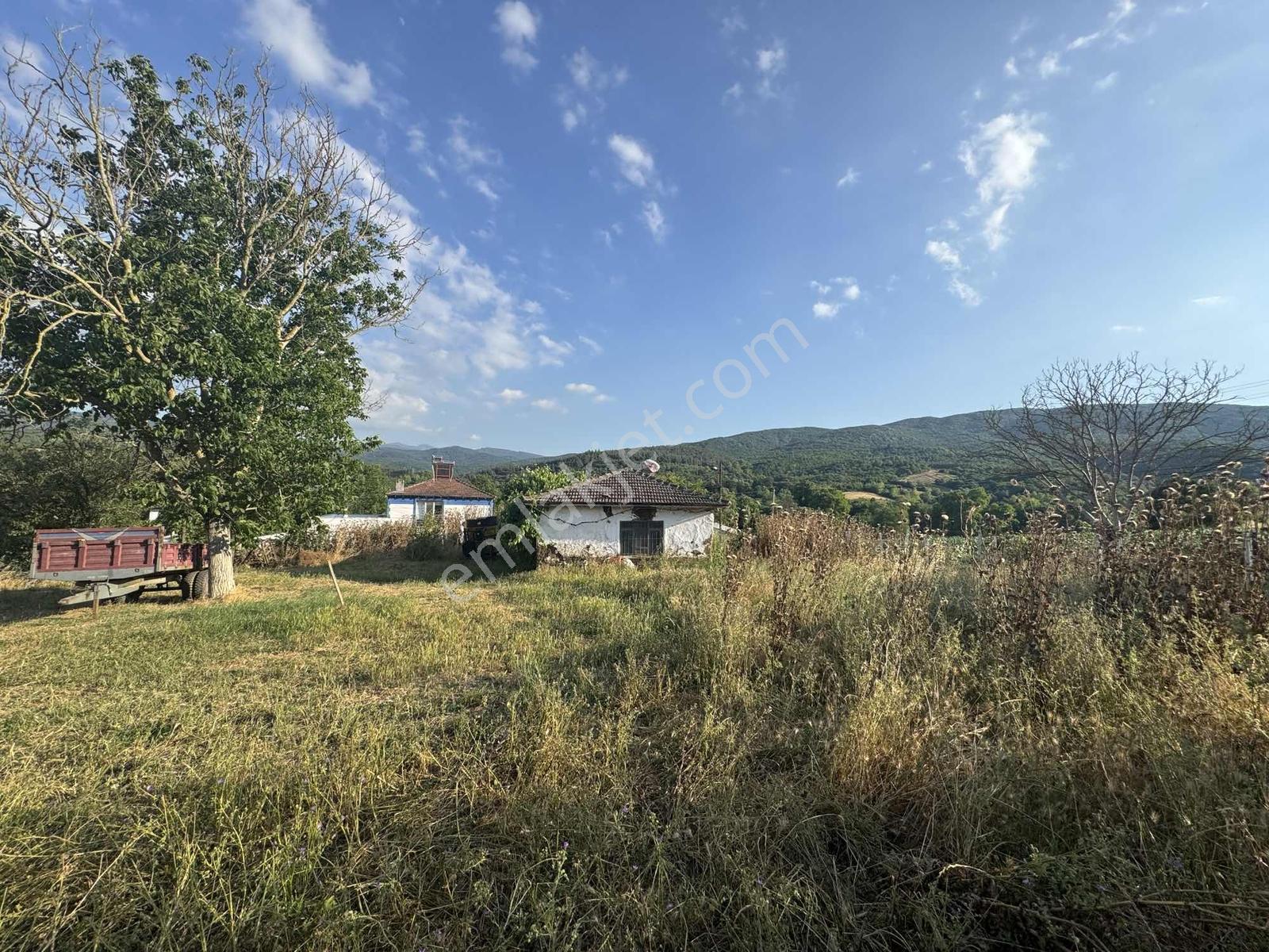 Bursadabul'dan Paşalar Mahallesi Köy Evi Ve Arsası 551.m2 - Görsel 14