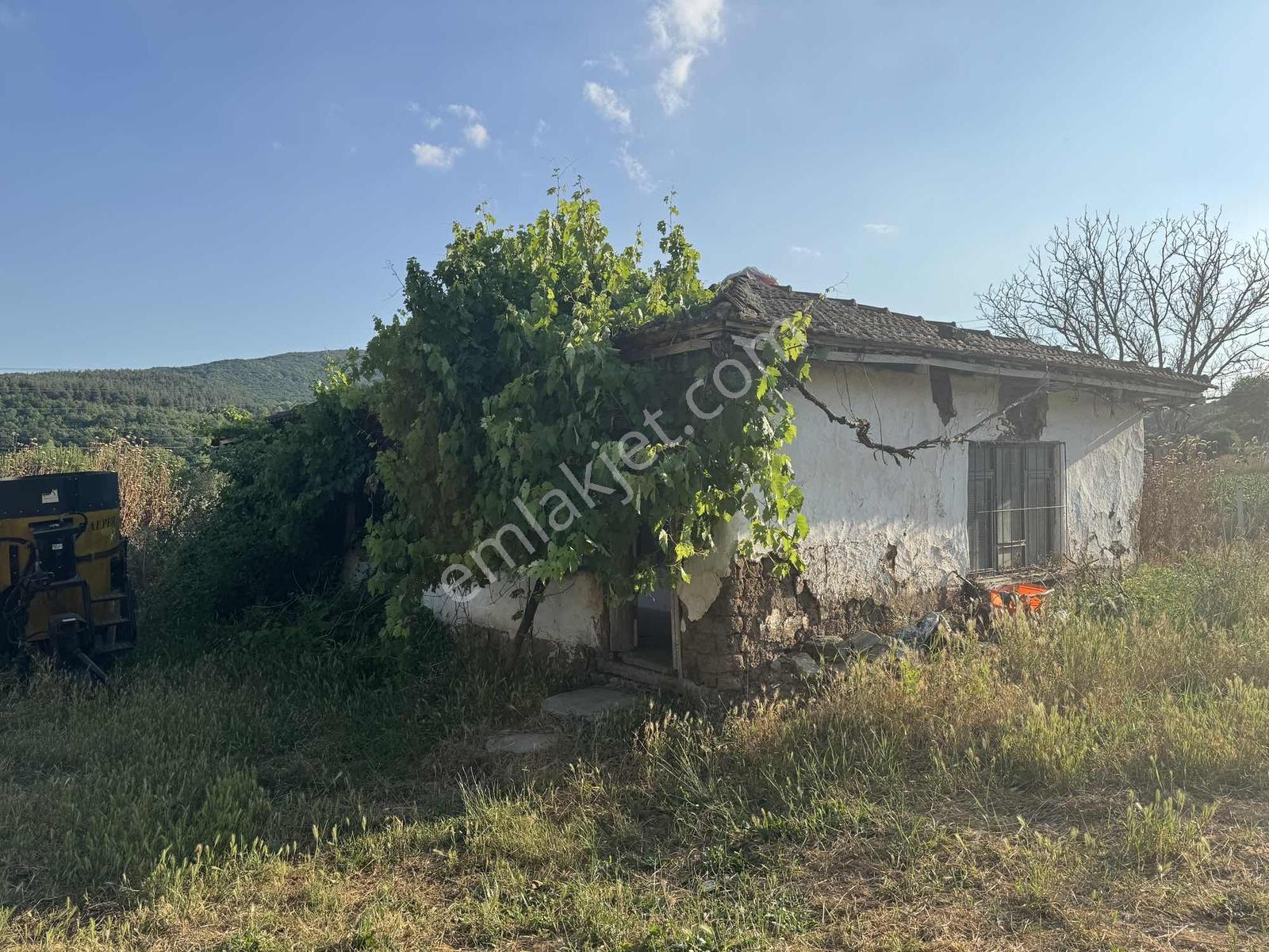 Bursadabul'dan Paşalar Mahallesi Köy Evi Ve Arsası 551.m2 - Görsel 7