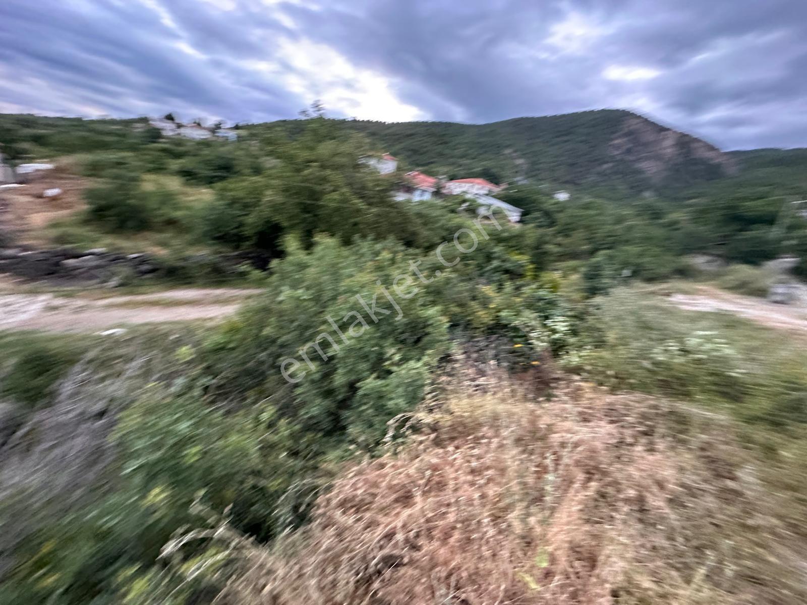 Amasya Merkez Kızoğlu Köyünde Satılık Arazi - Görsel 7