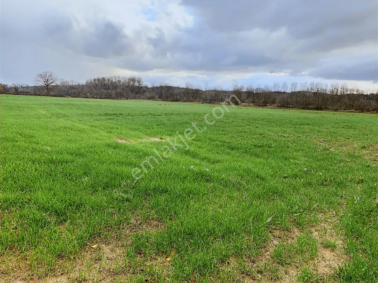 Sakarya Kaynarca İşaret Mahallesi 16716 M2 Satılık Tarla