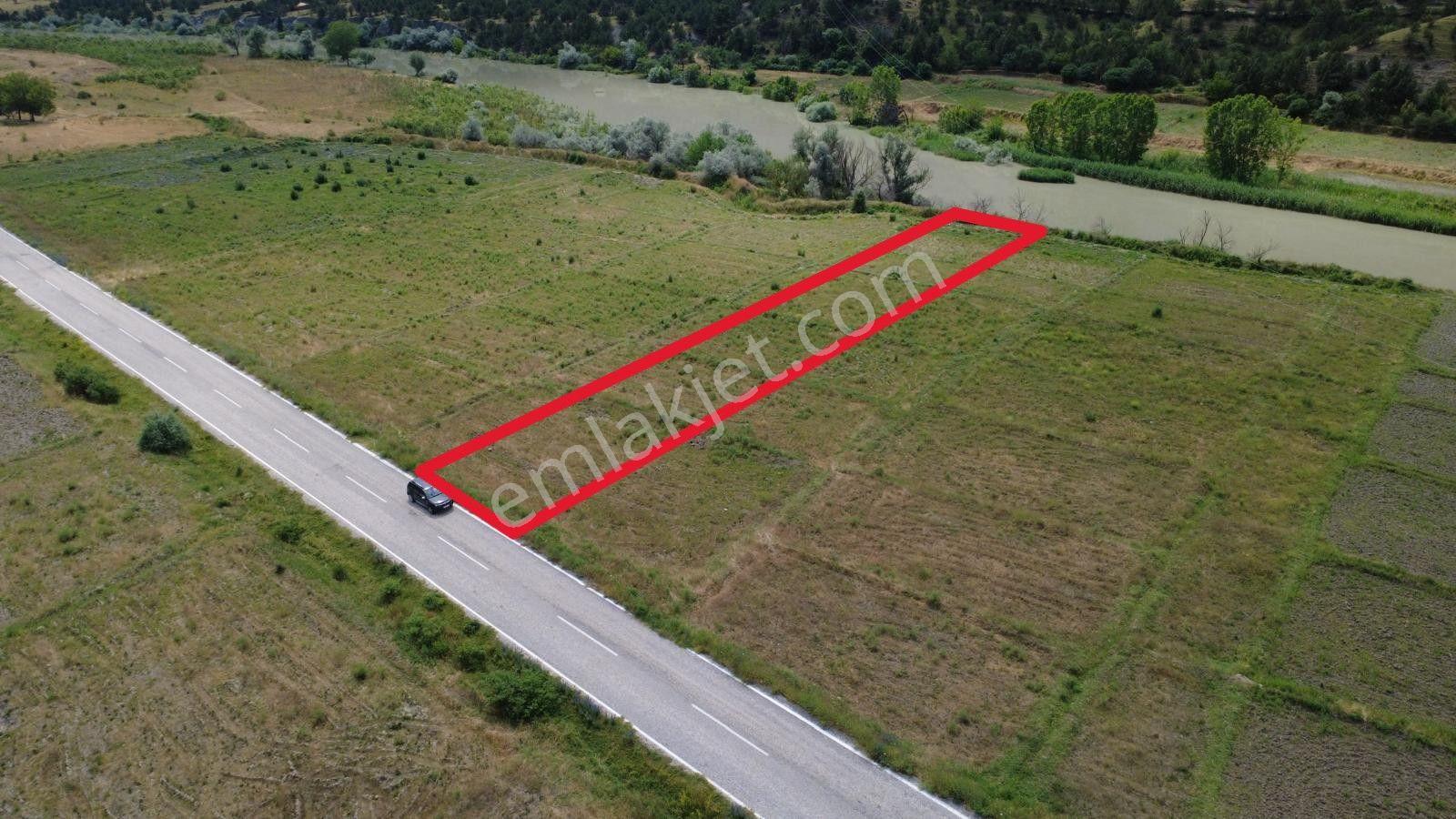 Çorum Kargı Karaboya'da Satılık Tarla - Görsel 11
