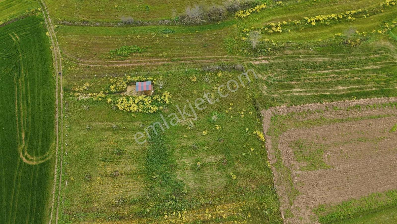 Remax Design İzmit Yenice Mahallesi 1227 M2 Tarla