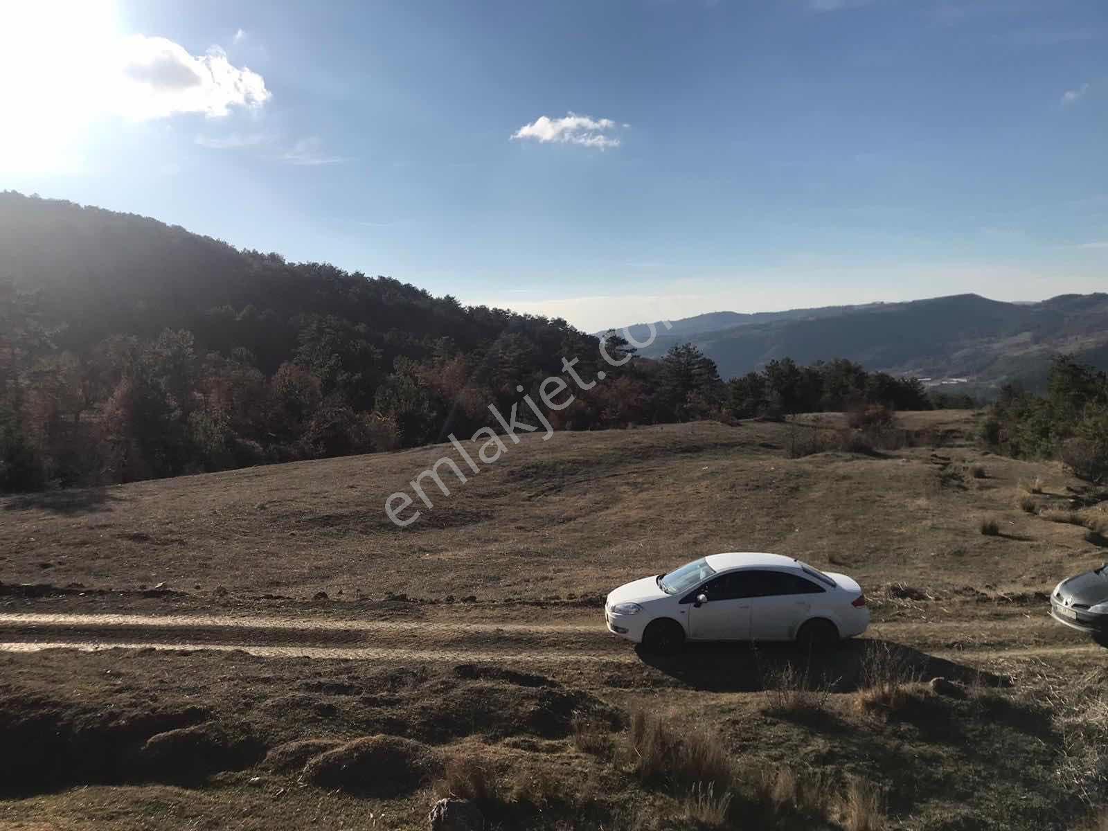 Remax Design Taraklı İçdedelerde 4909 M2 Tarla - Görsel 7