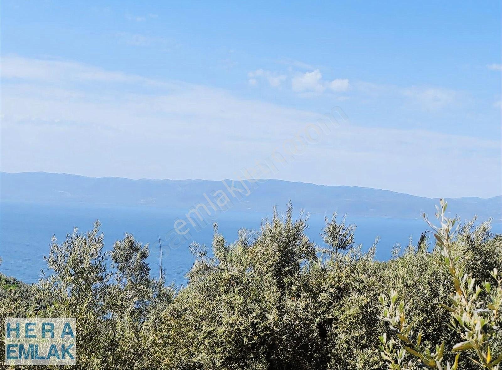 Konut Villa İmarli Arsa. Asfalt Yola Cephe Manzaralı