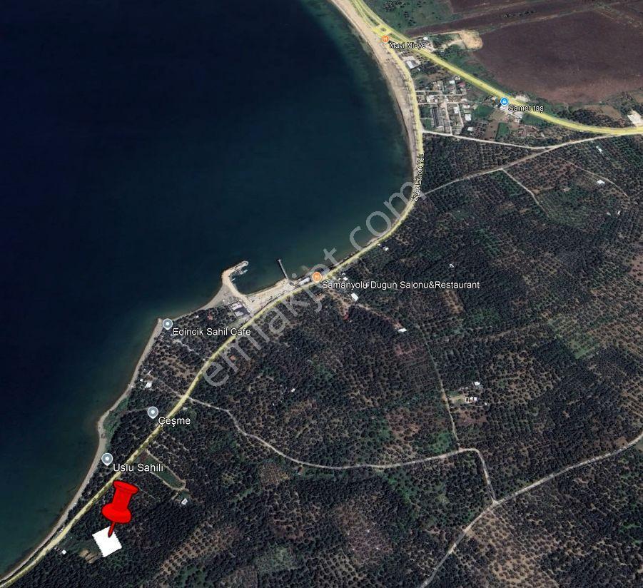 Bandırma Edincik'te Denize Yakın 1268 M² Satılık Zeytinlik - Görsel 24