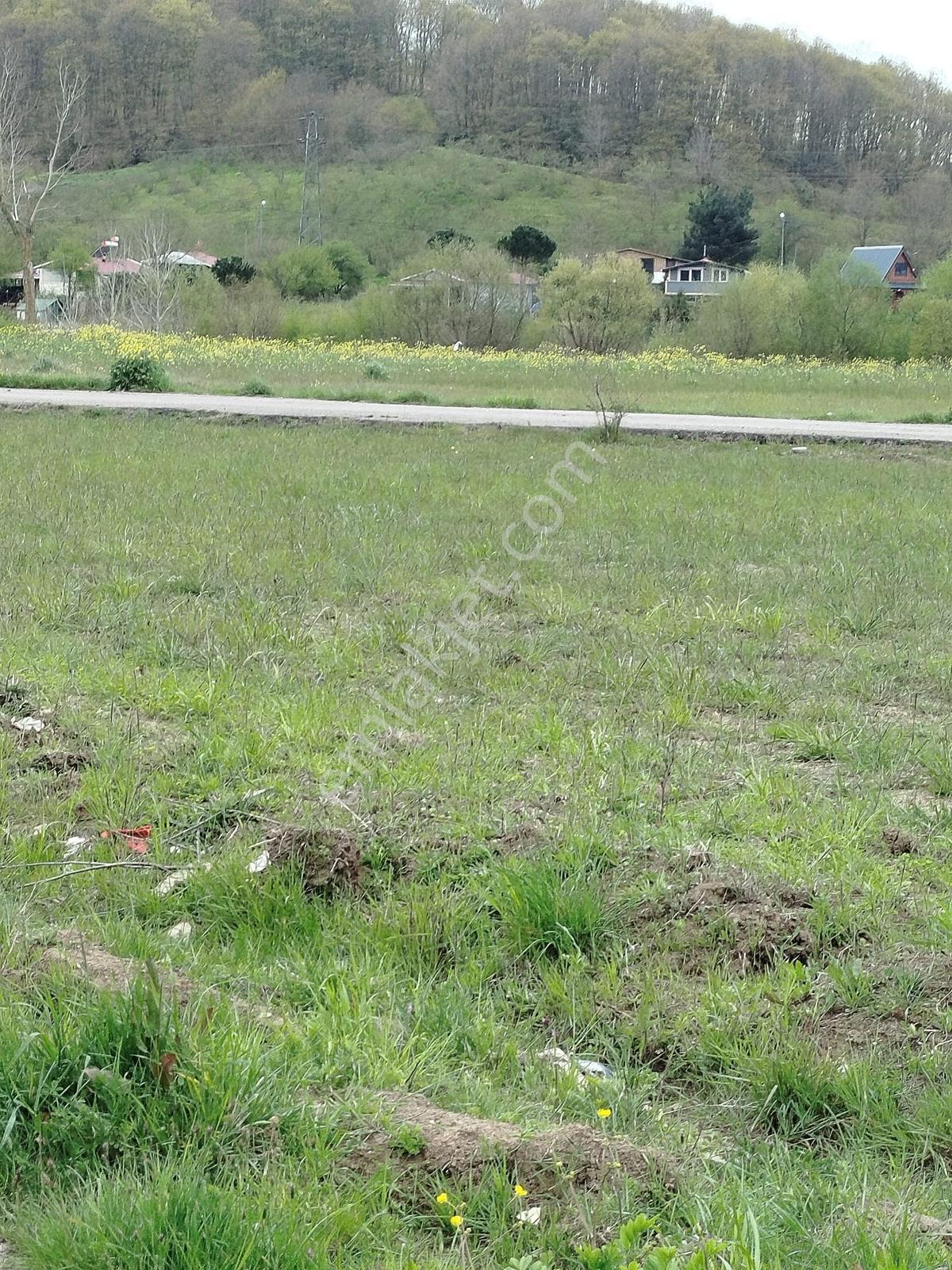 Şile Geredeli'de Doğa İle İç İçe 7500m2 Tek Tapu Yatırım Fırsatı - Görsel 4