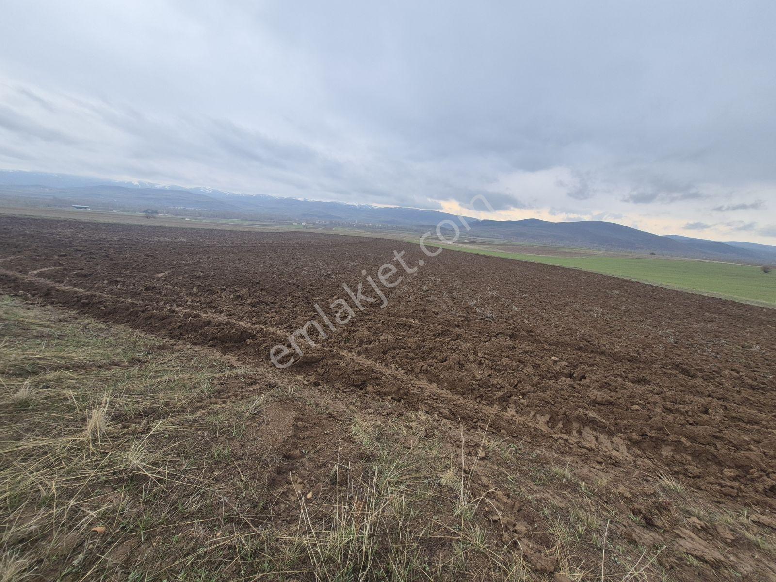 M.a.gayrimenkulden Konursuda 14700 M² Satılık Tarla Daire Takas