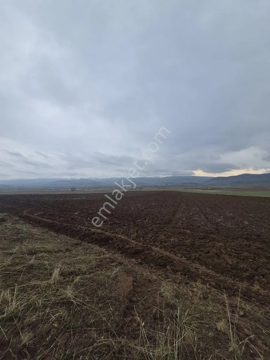 M.a.gayrimenkulden Konursuda 14700 M² Satılık Tarla Daire Takas - Görsel 4