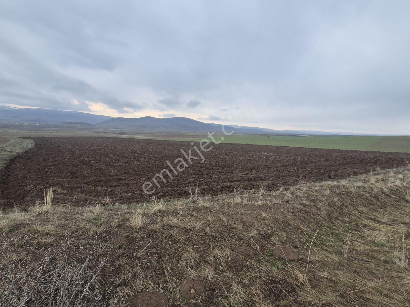 M.a.gayrimenkulden Konursuda 14700 M² Satılık Tarla Daire Takas - Görsel 13