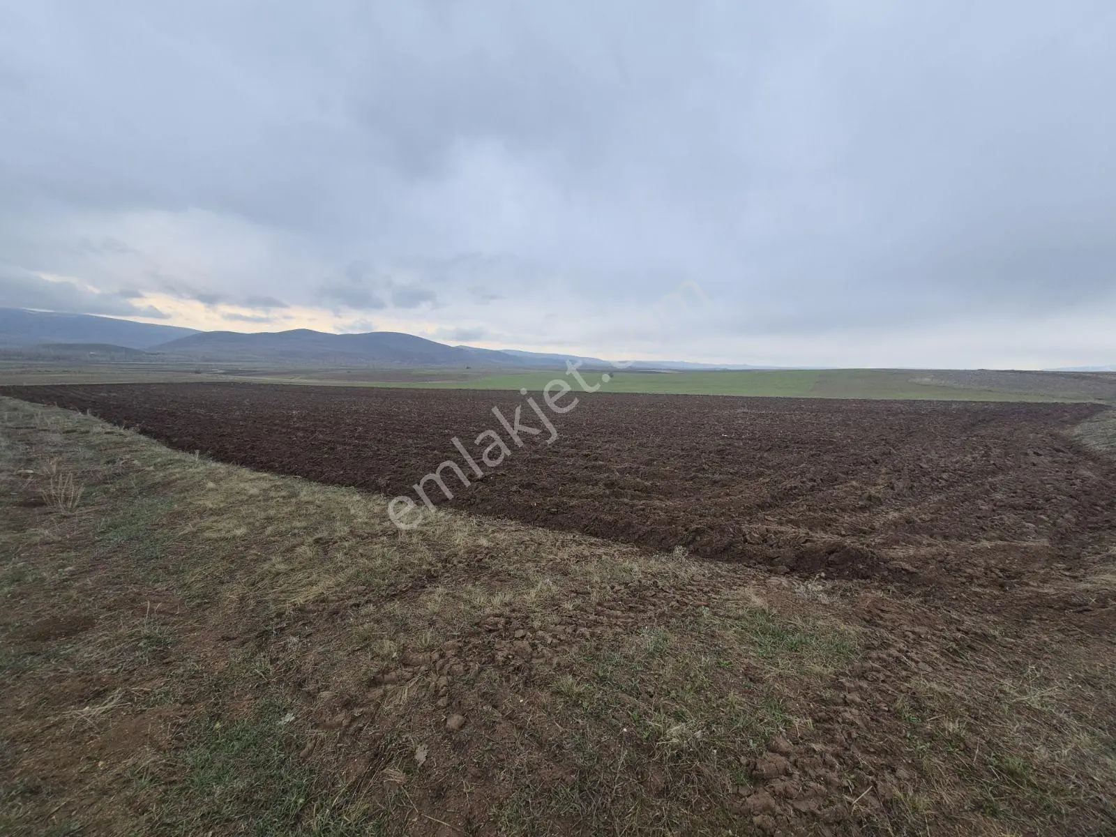 M.a.gayrimenkulden Konursuda 14700 M² Satılık Tarla Daire Takas - Görsel 12