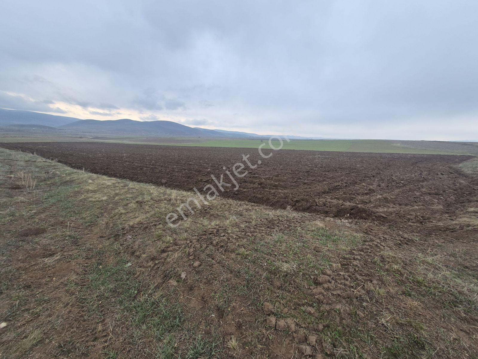 M.a.gayrimenkulden Konursuda 14700 M² Satılık Tarla Daire Takas - Görsel 6