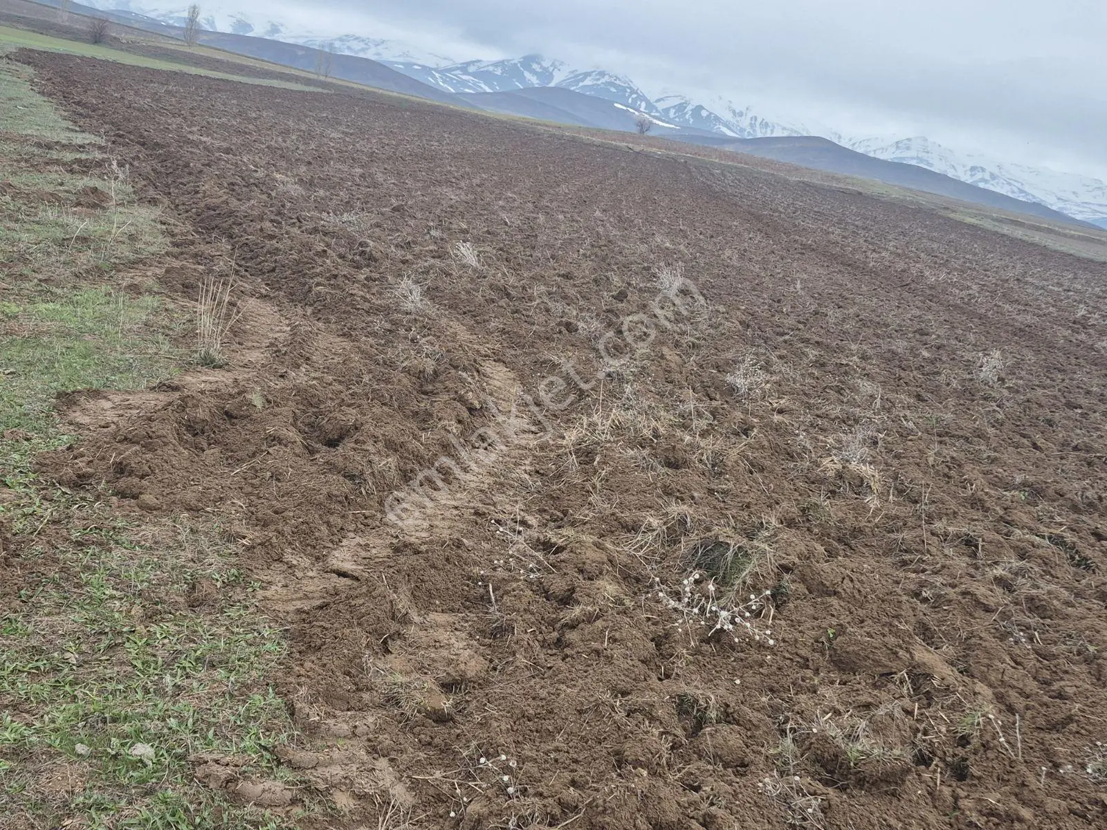 M.a.gayrimenkulden Konursuda 14700 M² Satılık Tarla Daire Takas - Görsel 2