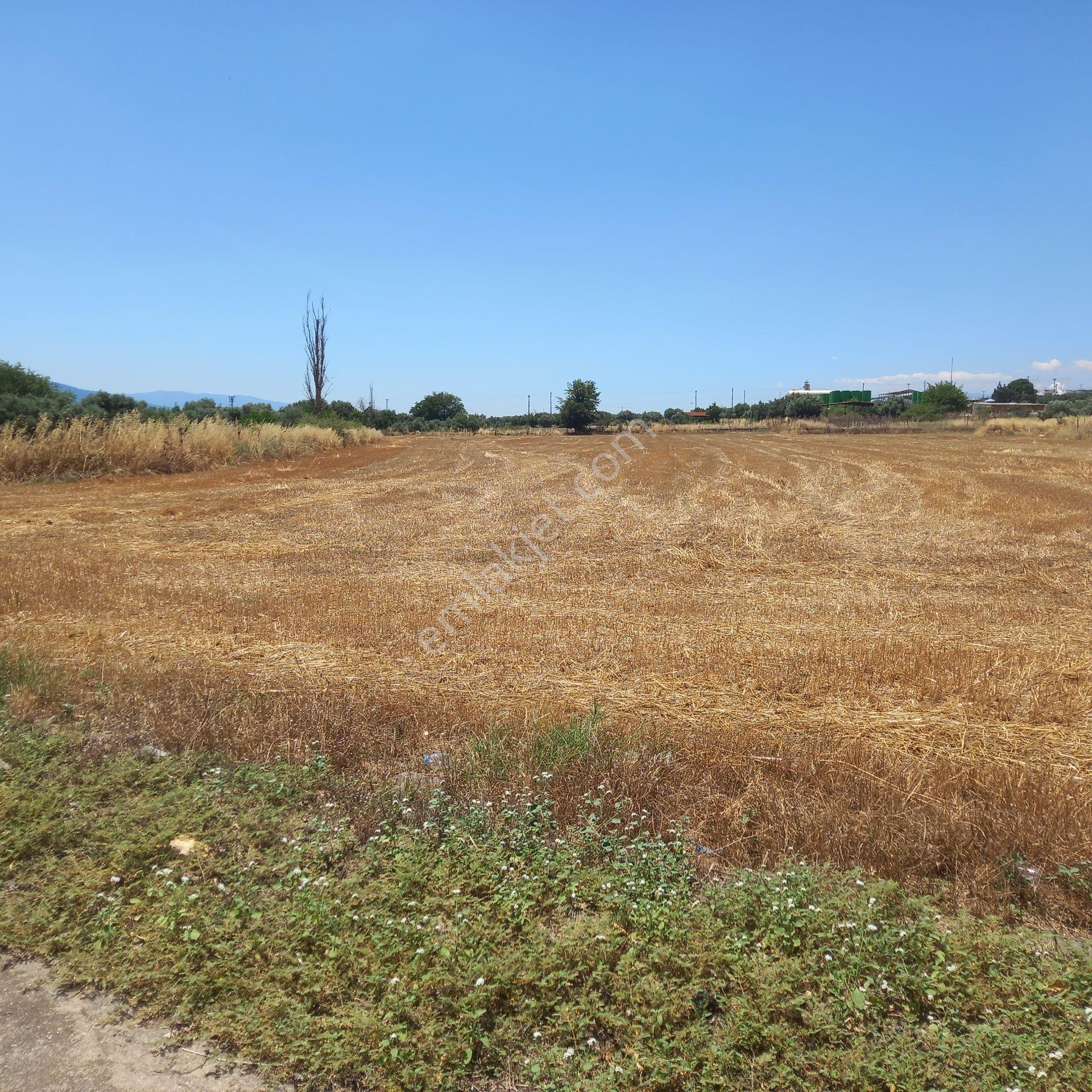 Dönertaş Emlak Aydın Kuyucak Pamukören'de Satılık 616 M² İmarlı Arsa - Görsel 11
