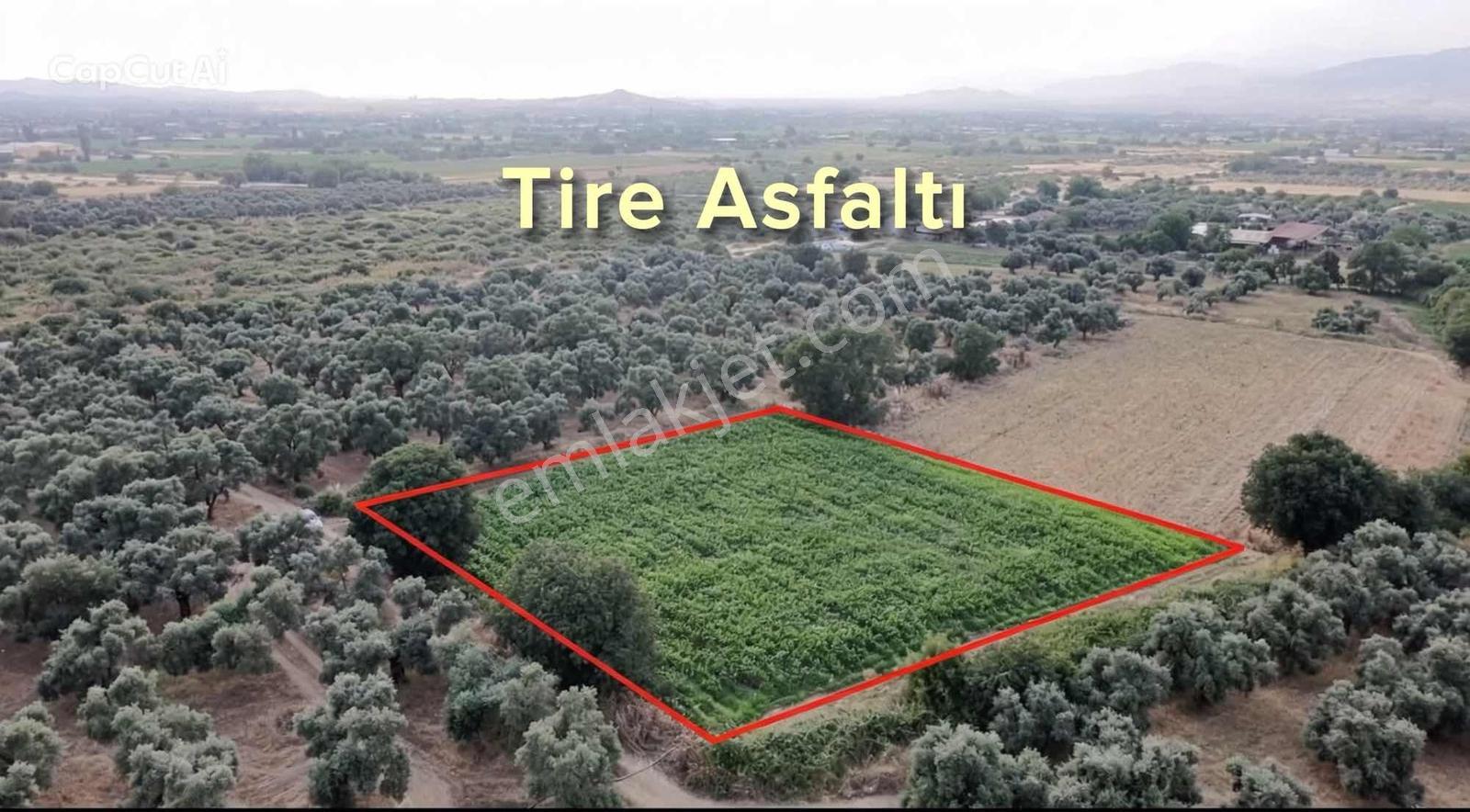 Tire Asfaltına Yakın Verimli Tarla - Görsel 13