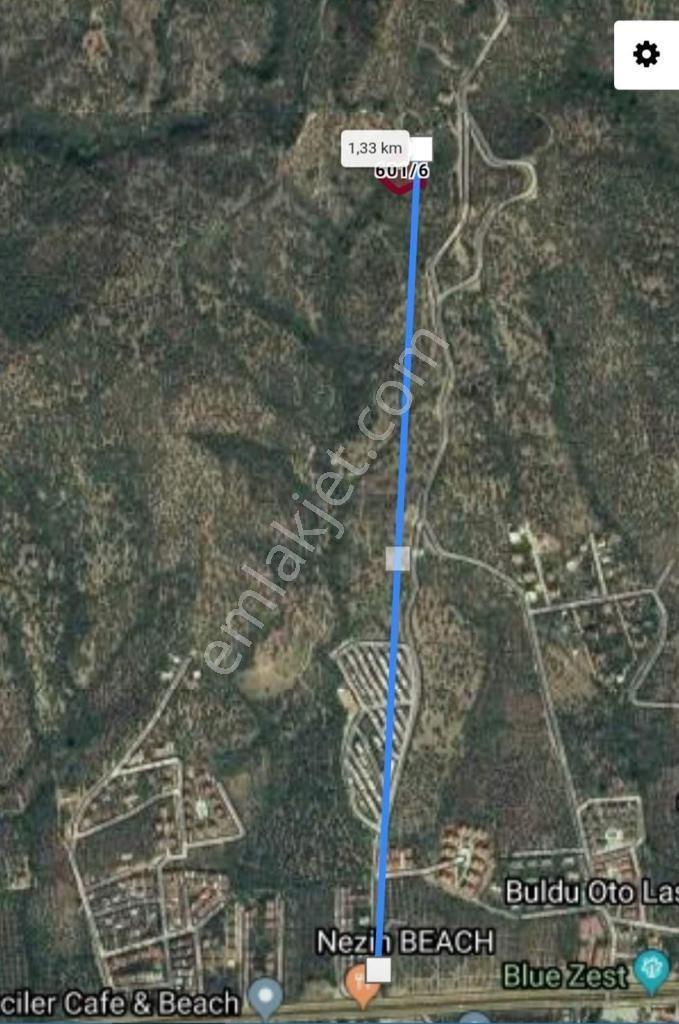 Altınoluk Narlı`da İmara Yakın Deniz Manzaralı Satılık Zeytinlik - Görsel 26
