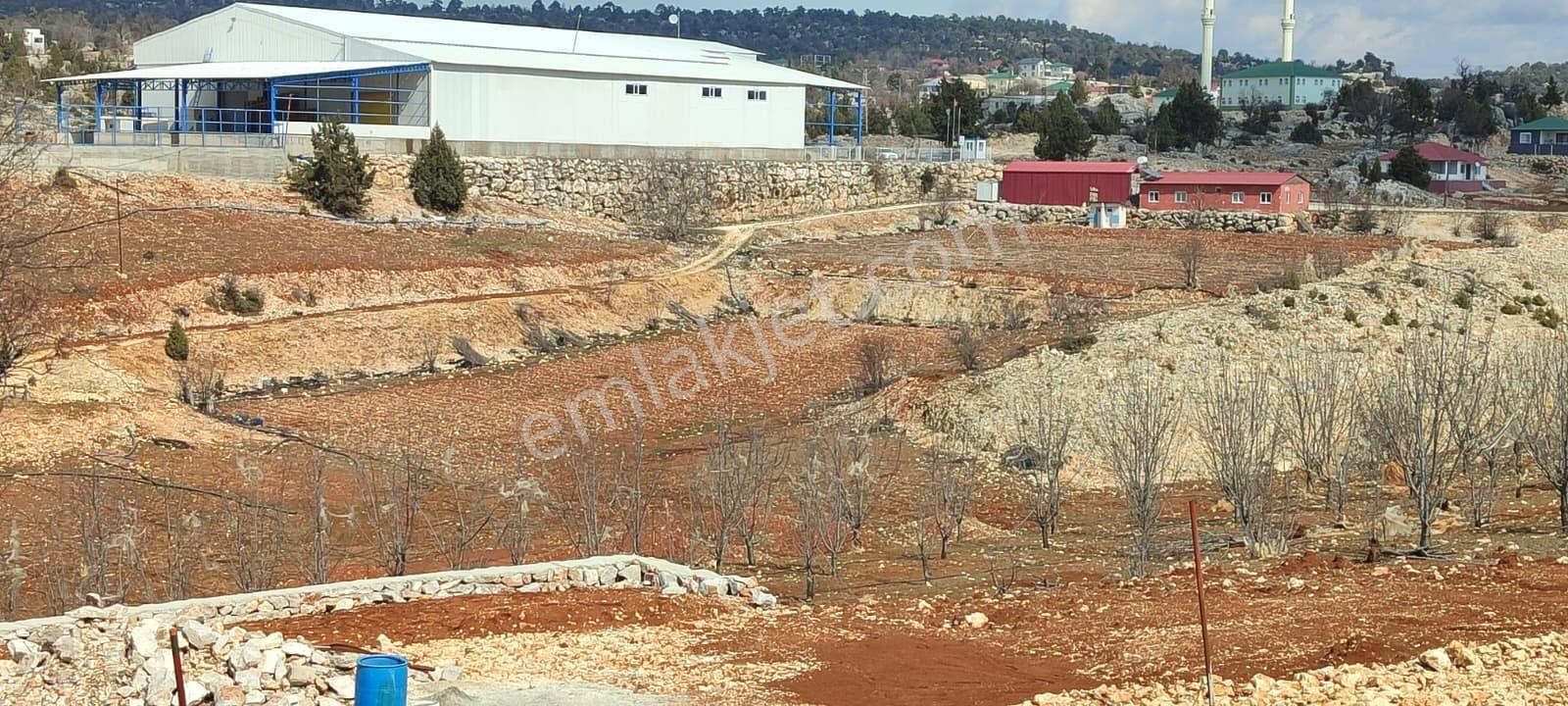 Erdemli Koramşalı Mahallesinde Satılık İmarlı Arsa - Görsel 32