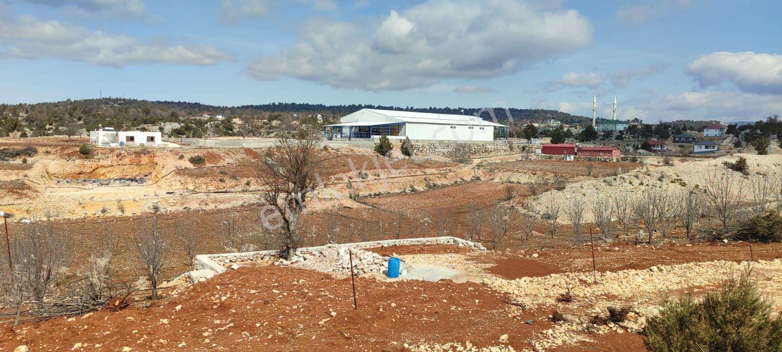Erdemli Koramşalı Mahallesinde Satılık İmarlı Arsa - Görsel 8
