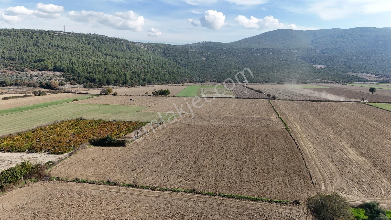 Muğla Menteşe Yeşilyurt Mah. Satılık 3.175 M2 Tarla - Görsel 14