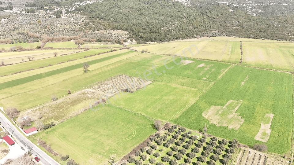 Muğla Menteşe Yeşilyurt Mah. Satılık 3.175 M2 Tarla - Görsel 11