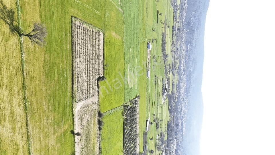 Muğla Menteşe Yeşilyurt Mah. Satılık 3.175 M2 Tarla - Görsel 5